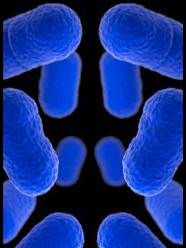 “Deadly Listeria Outbreak Tied to Recalled Pasta Meals — 6 Dead Across Multiple States: See Which Products Are Affected”